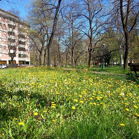 B&B Wiligelmo Intero Appartamento Con Colazione Inclusa Modena Esterno foto
